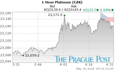 Platinum (CZK) 1 Hour