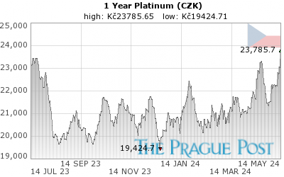 Platinum (CZK) 1 Year