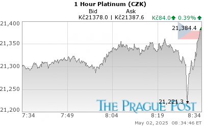Platinum (CZK) 1 Hour