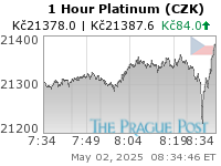 Platinum (CZK) 1 Hour