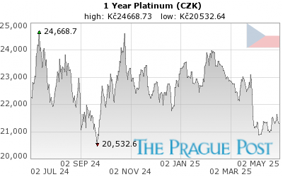 Platinum (CZK) 1 Year