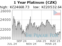 Platinum (CZK) 1 Year